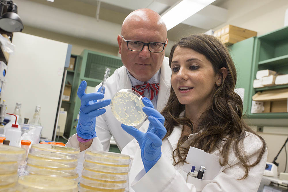 Postdoc Jobs At Sbu Office Of Postdoctoral Affairs